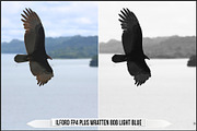 Ilford Films LUTs, a Plug-in Add-On by Raztrend (Thumbnail 21 of 30)