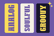 Mestosa - Funky Slab Serif, a Serif Font by Tiptop Graphic (Thumbnail 9 of 10)