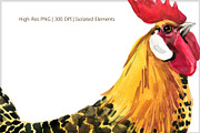 Watercolor Chicken Breeds Clipart, an Animal Illustration by FineArt (Thumbnail 2 of 11)