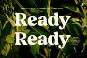 Blood Orange Vintage Serif, a Serif Font by Fenotype (Thumbnail 10 of 16)