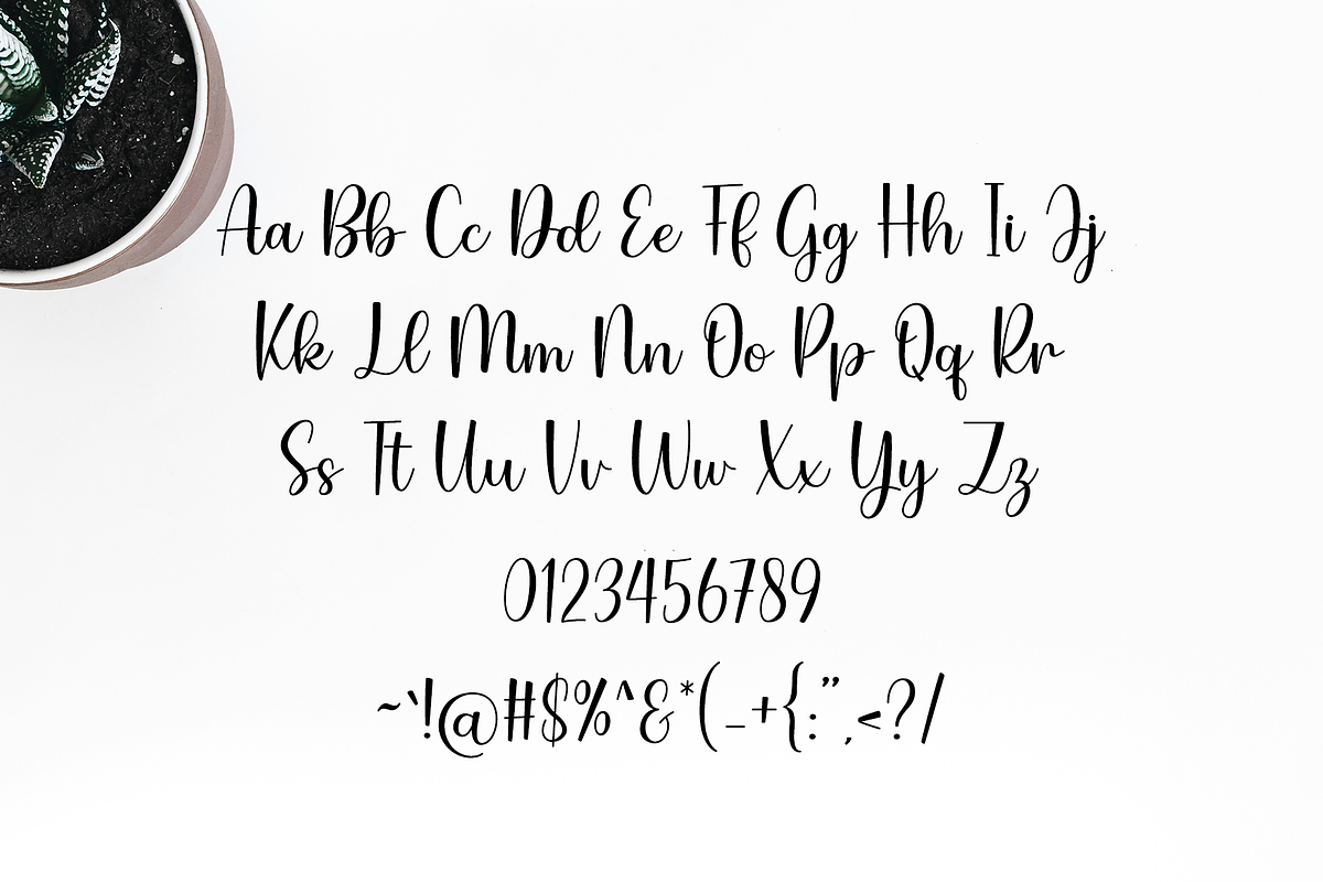 Family Holiday, a Script Font by Artkenza (Photo 6 of 8)