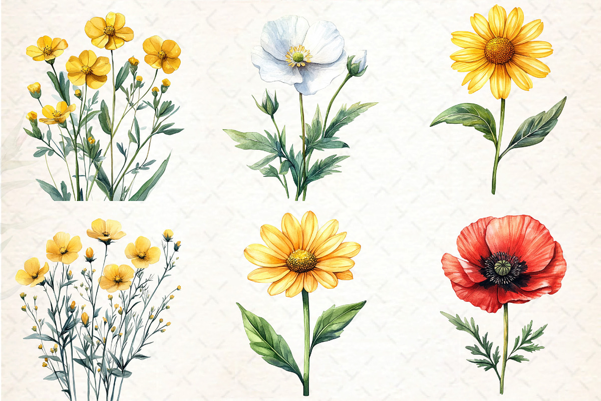Wild Flowers Watercolor Clipart PNG, an Illustration by DreamCafeArt (Photo 3 of 7)