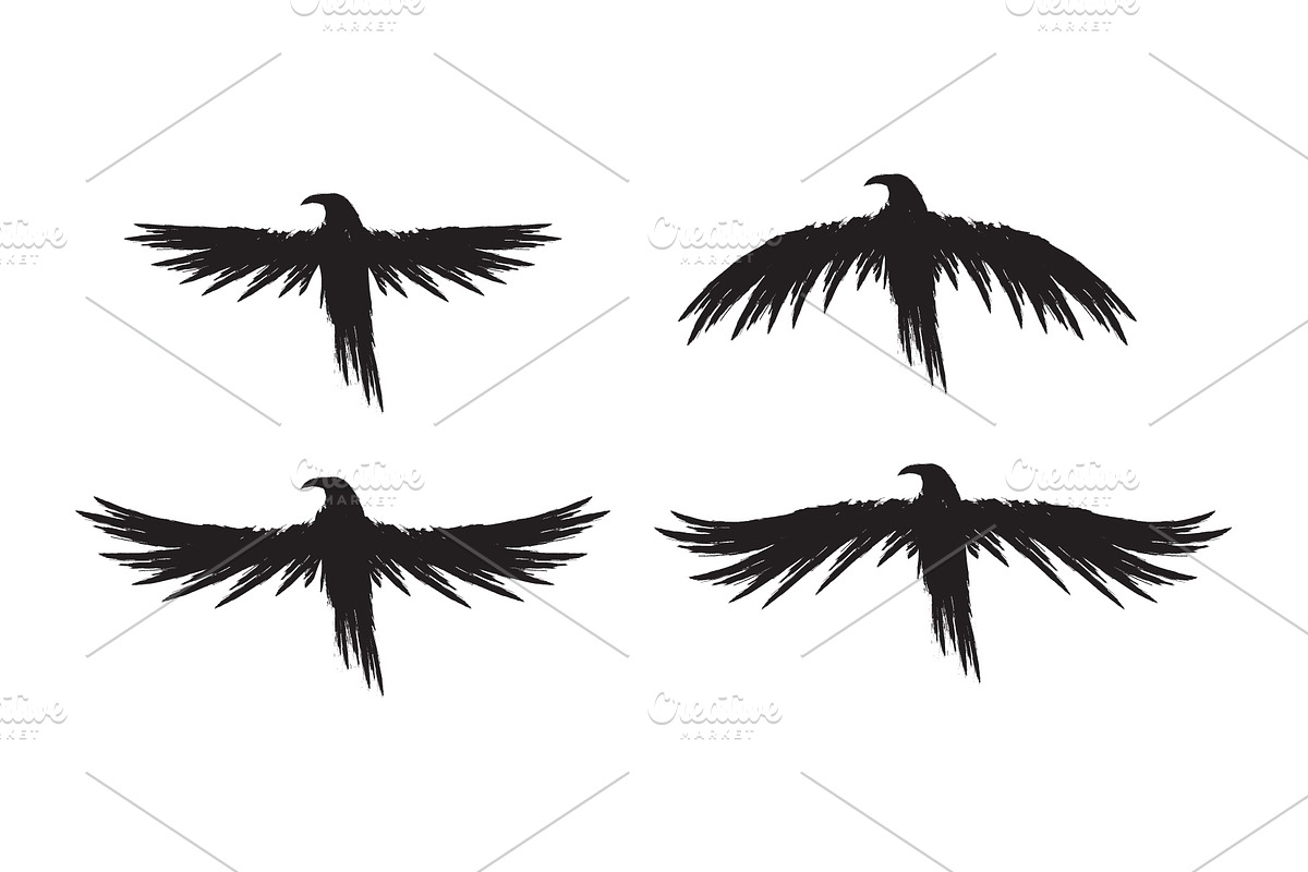 Black raven crow body and wings., an Object Graphic by DeShoff Art (Photo 2 of 8)