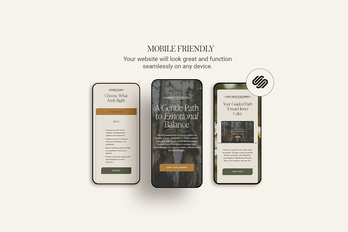 Sales Page Website Template, a Squarespace Template by 3.14&Co (Photo 8 of 11)
