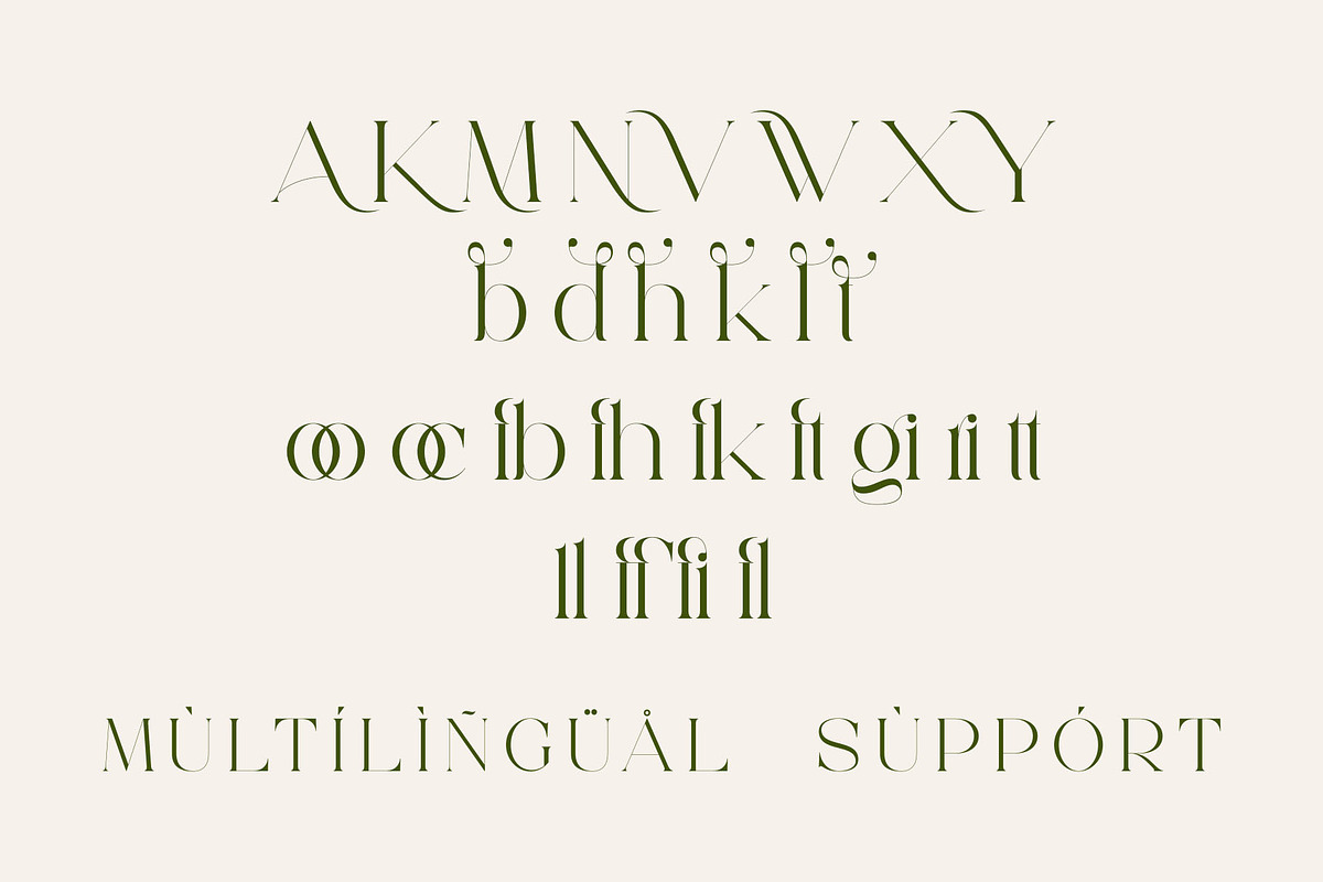Megita - Beautiful Serif Font, a Serif Font by Aqeel_Art (Photo 11 of 12)