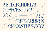 Vageli - Unique Font Duo, a Serif Font by Valentino Vergan (Thumbnail 8 of 12)