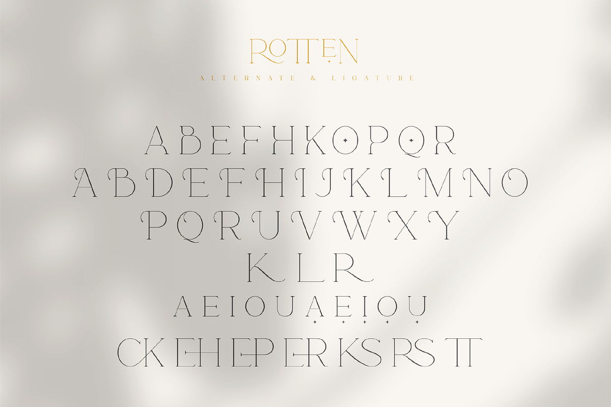 Rotten - Modern & Elegant Serif Font, a Serif Font by Pen Culture (Photo 11 of 13)