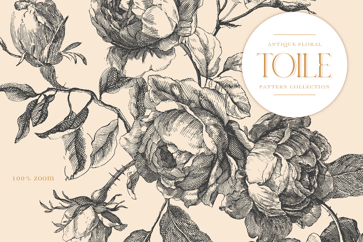 Antique Floral Toile Patterns, a Pattern Graphic by Eclectic Anthology (Photo 14 of 14)