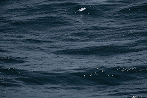Blue Ocean Texture Close Up