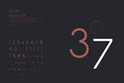 Quint Uppercase Font, a Sans Serif Font by Wild Ones (Thumbnail 6 of 8)