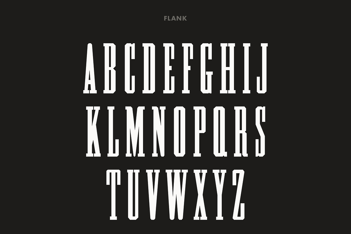 Pale Horse, a Slab Serif Font by Pale Horse (Photo 3 of 11)