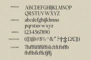 The Rosemide Serif, a Serif Font by Skinny Type (Thumbnail 12 of 13)