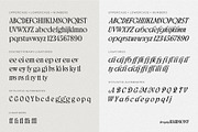 Brighty Harmony | Serif font family, a Font by Digitype Studio (Thumbnail 15 of 15)