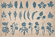 205 Floral Objects, an Object Graphic by Mr Vintage (Thumbnail 5 of 5)