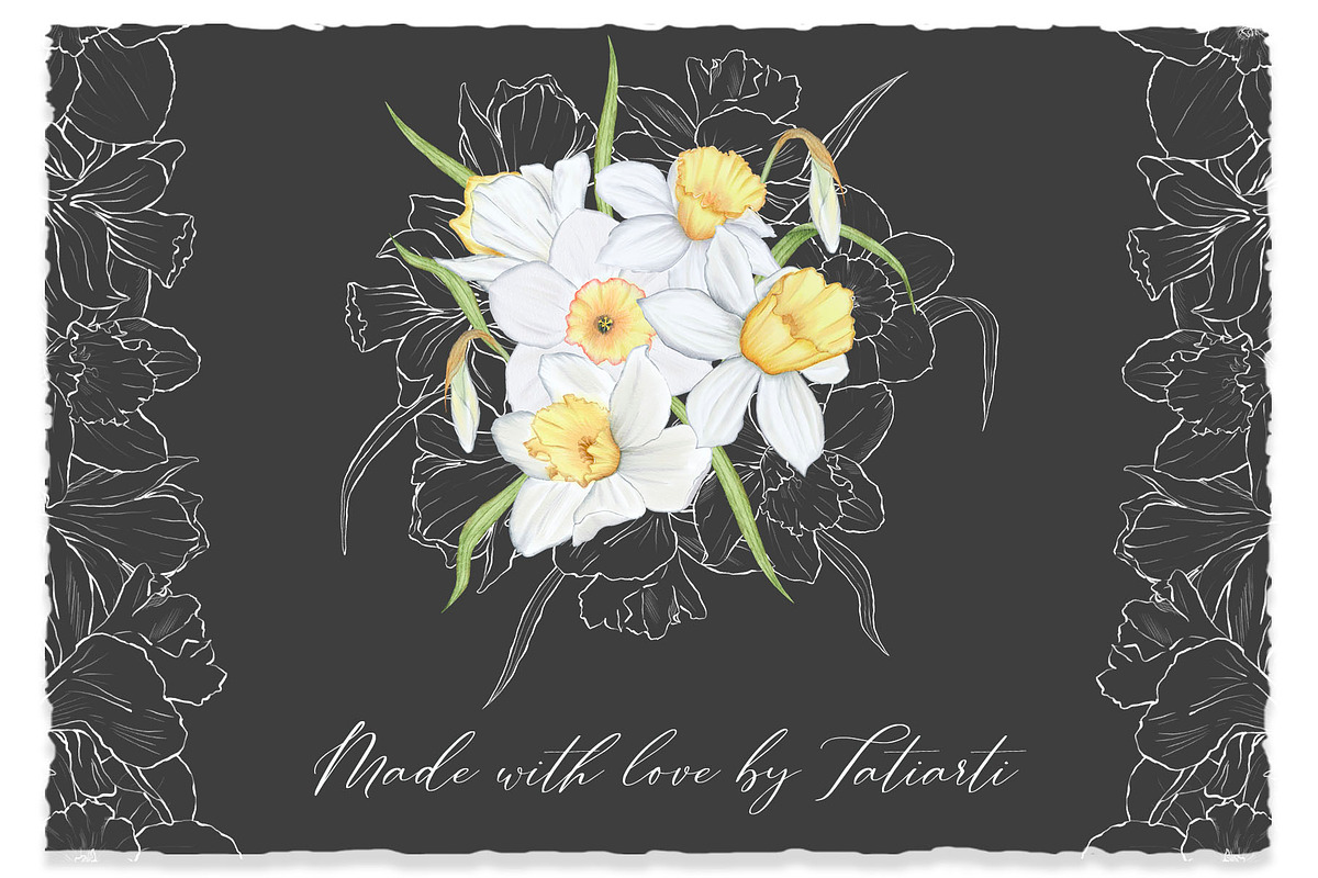 Watercolor and sketch daffodils, a Decorative Illustration by TatiArti (Photo 13 of 13)