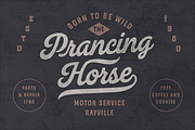 Legend Script, Sans & Serif (Soft), a Script Font by Andrey Sharonov (Thumbnail 10 of 19)