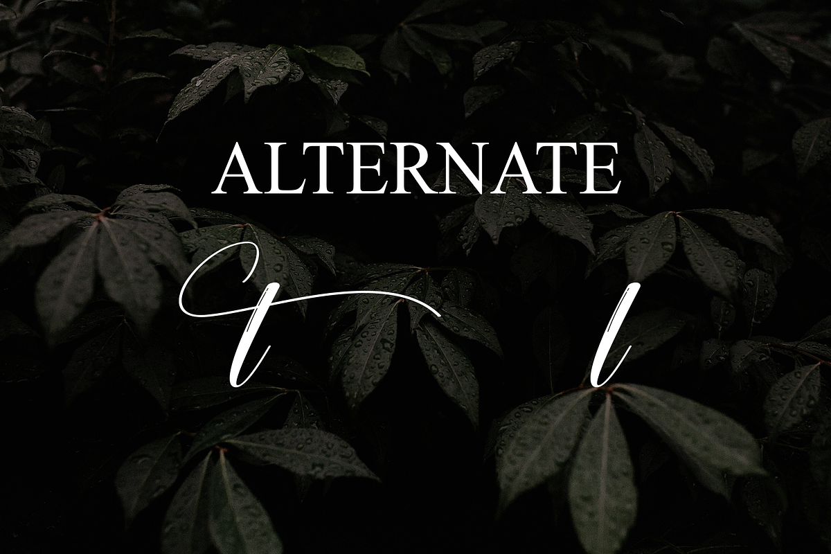 Aesthetic | Script Font, a Handwritten Font by Scratchones (Photo 8 of 9)