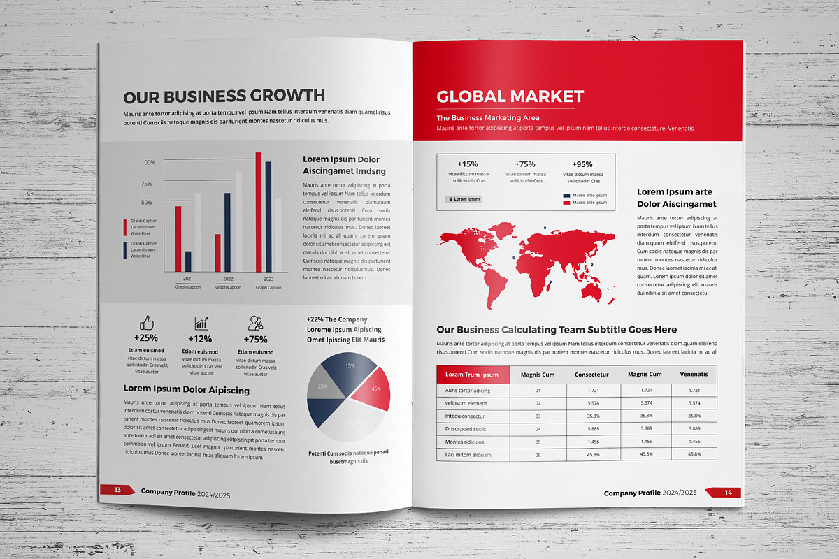 Company Profile Template V9, a Brochure Template by JanySultana (Photo 8 of 14)