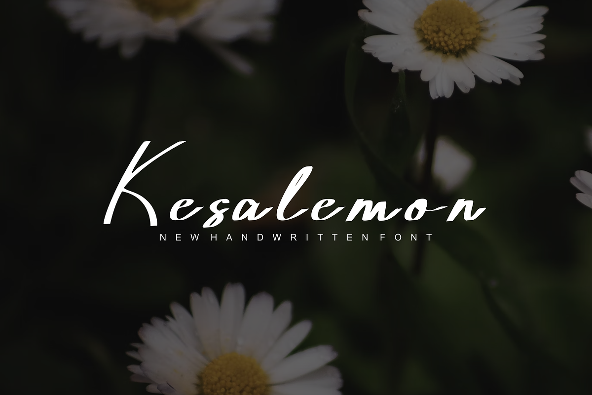 Kesalemon - Font, a Handwritten Font by artchiles_design (Photo 1 of 5)