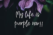 Sugar Plum with Extra Doodle, a Script Font by Artstudio (Thumbnail 5 of 11)