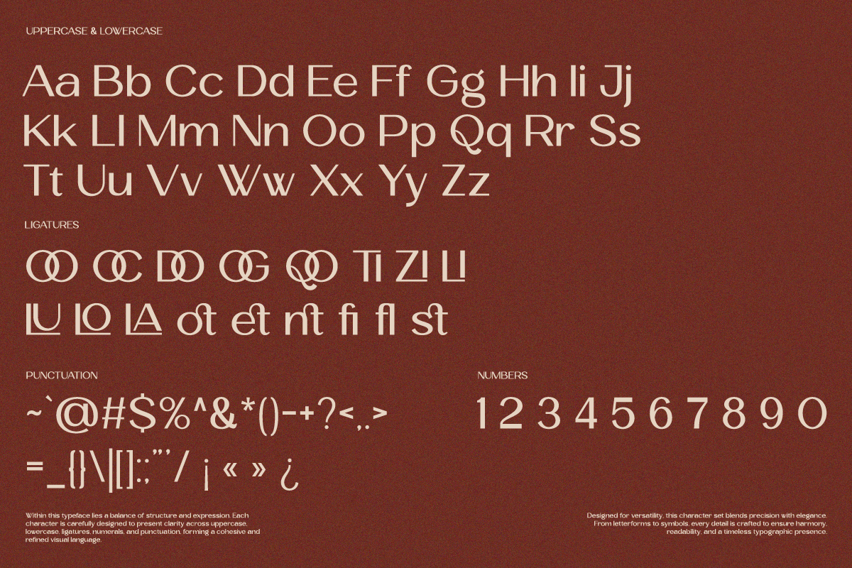 Velocia - Modern Editorial Sans, a Sans Serif Font by Say Studio (Photo 12 of 12)