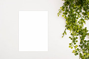 Modern Mockup, Clean Mockups, a Background Photo by BlueBooks (Thumbnail 12 of 14)