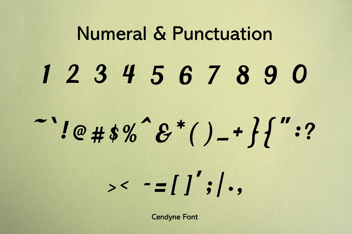 Cendyne Modern Handwritten Font, a Handwritten Font by ResumeFabs (Photo 3 of 7)