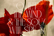 LT Verola – Rich Serif Ligature Type, a Serif Font by Luminotype (Thumbnail 10 of 15)