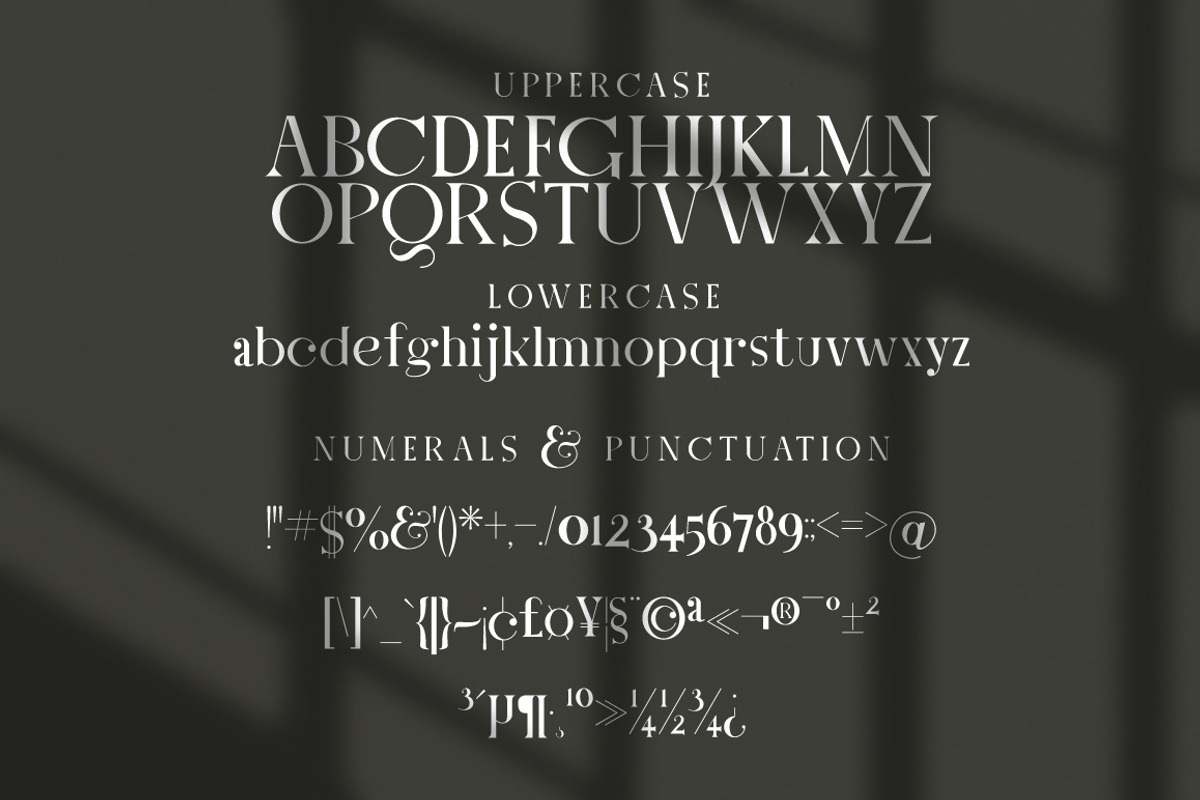 Letter Stylish Serif, a Serif Font by KennedyStudio (Photo 8 of 10)