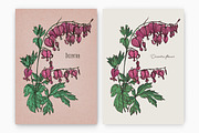 Dicentra with gorgeous flowers, a Decorative Illustration by Good Studio (Thumbnail 1 of 5)