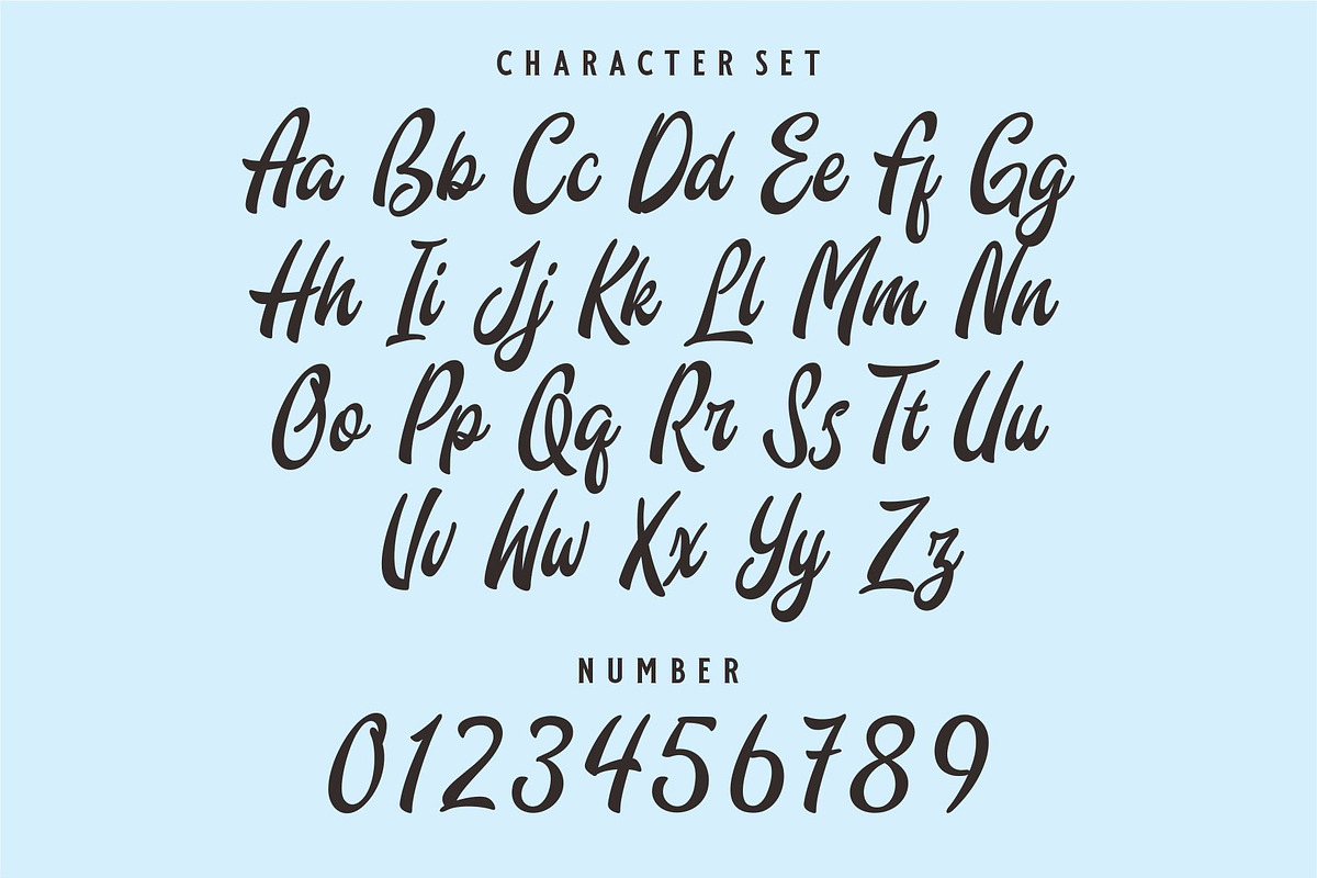 Banions | Bold Signature Script, a Script Font by Havinkpen (Photo 7 of 10)