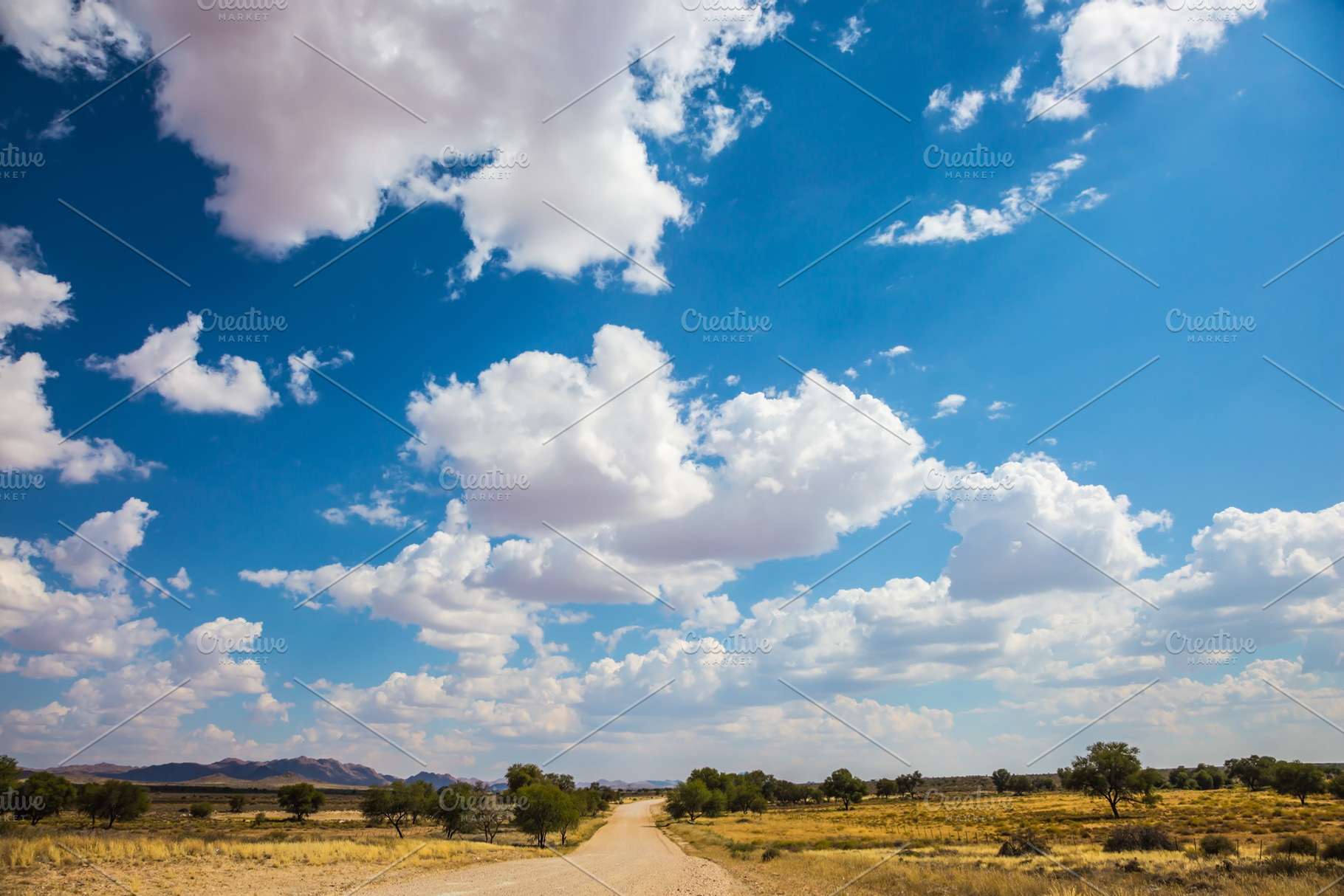 The road in the steppe, a Nature Photo by kavram