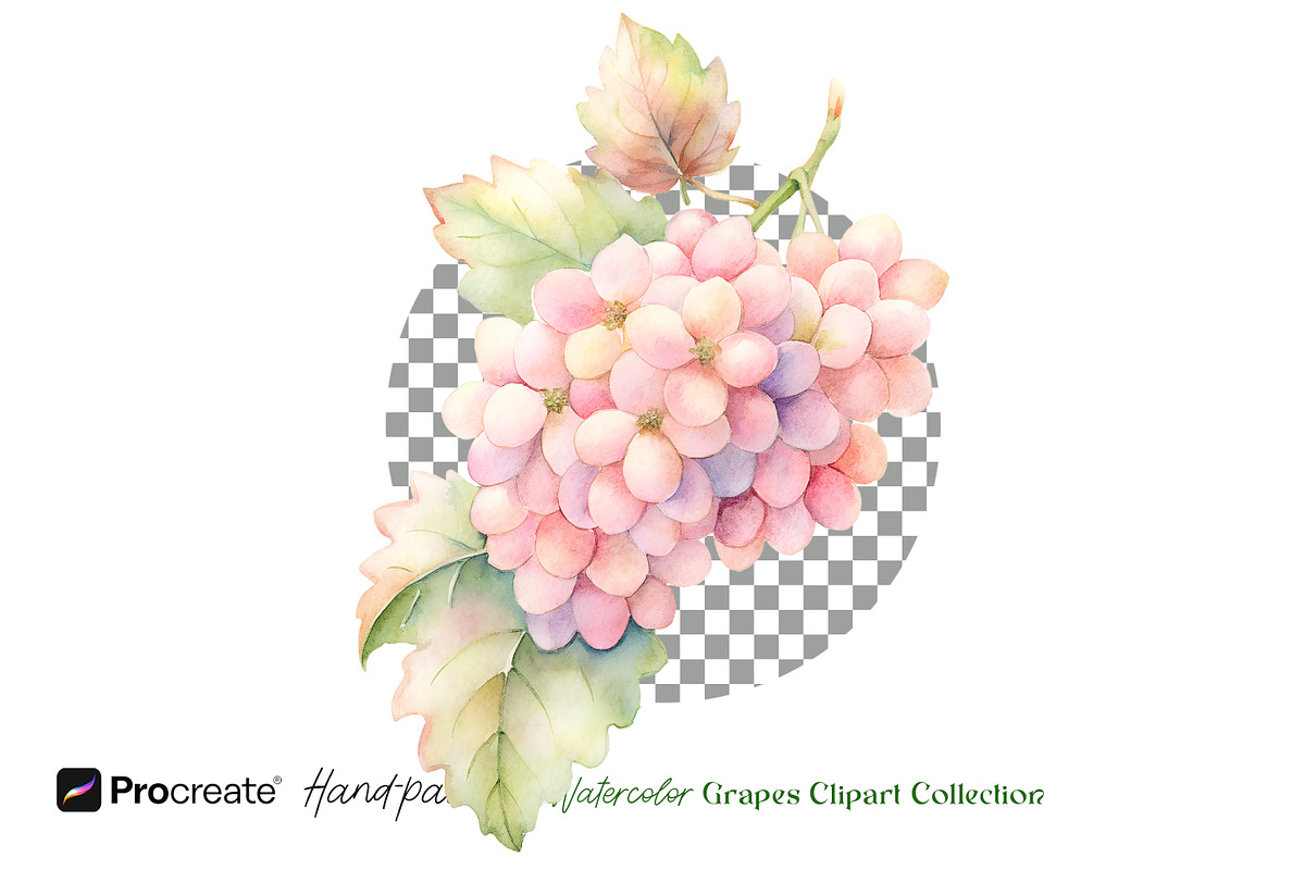Watercolor Grapes Clipart, an Object Illustration by crafty (Photo 2 of 11)