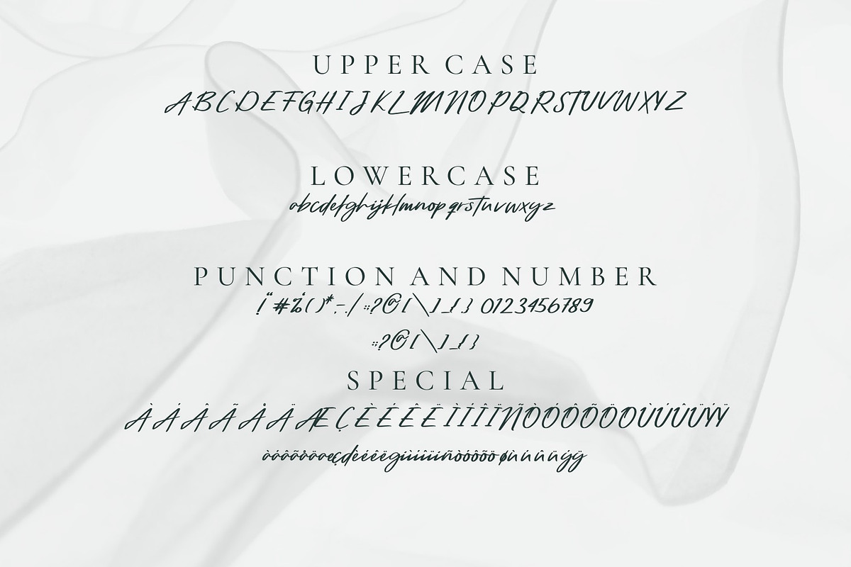 Sumatra - Beauty Handwritten Script, a Handwritten Font by TrimStudio (Photo 11 of 11)