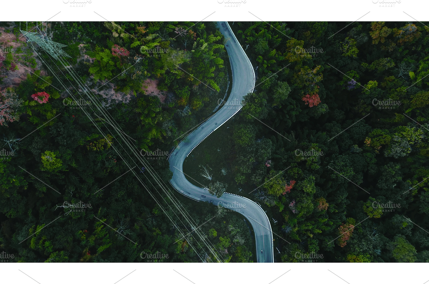 Winding road crossing lush green, a Nature Photo by Goinyk