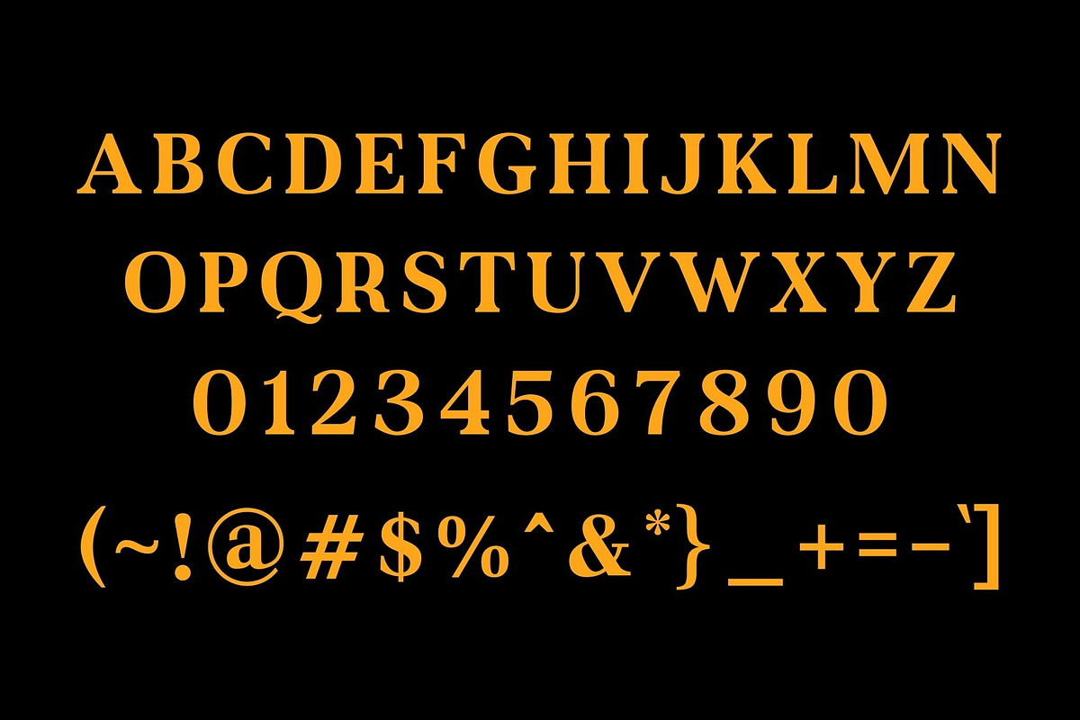 Tuner - Modern Serif Typeface, a Serif Font by Font Kingdom (Photo 5 of 6)