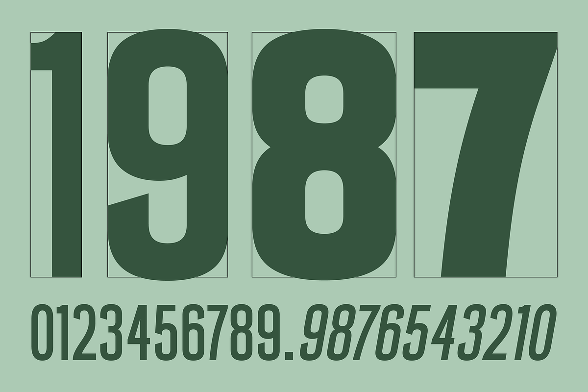 SFC Signsmith Variable Font, a Sans Serif Font by Skilline Supply Co. (Photo 4 of 21)
