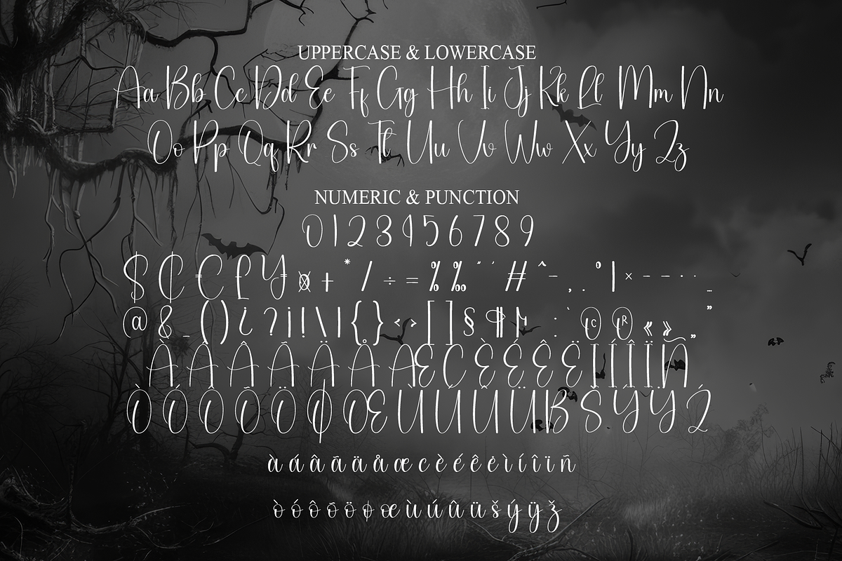 Spooky | Script Font, a Handwritten Font by Scratchones (Photo 7 of 9)