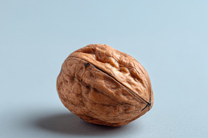 Single walnut centered, a Food & Drink Photo by Virgo Studio