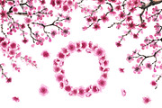 Cherry Blossom Watercolor Collection, a Decorative Illustration by Sveta Aho (Thumbnail 3 of 6)