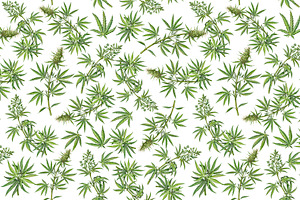 Cannabis Seamless Pattern