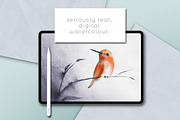 EVERYTHING WATERCOLOUR for Procreate, a Brush Add-On by UPROOT (Thumbnail 8 of 22)