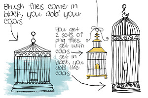 Doodle Birdcages Clipart & Brushes