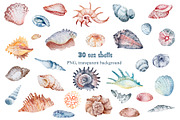 Ocean Animals Watercolor Clipart, an Animal Illustration by LenArt (Thumbnail 15 of 16)