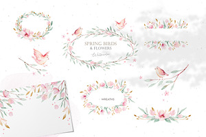 Watercolor Spring Birds & Flowers