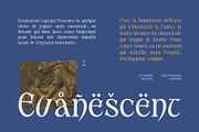 CS Loman – Uncial Font, a Serif Font by Craft Supply Co. (Thumbnail 6 of 8)