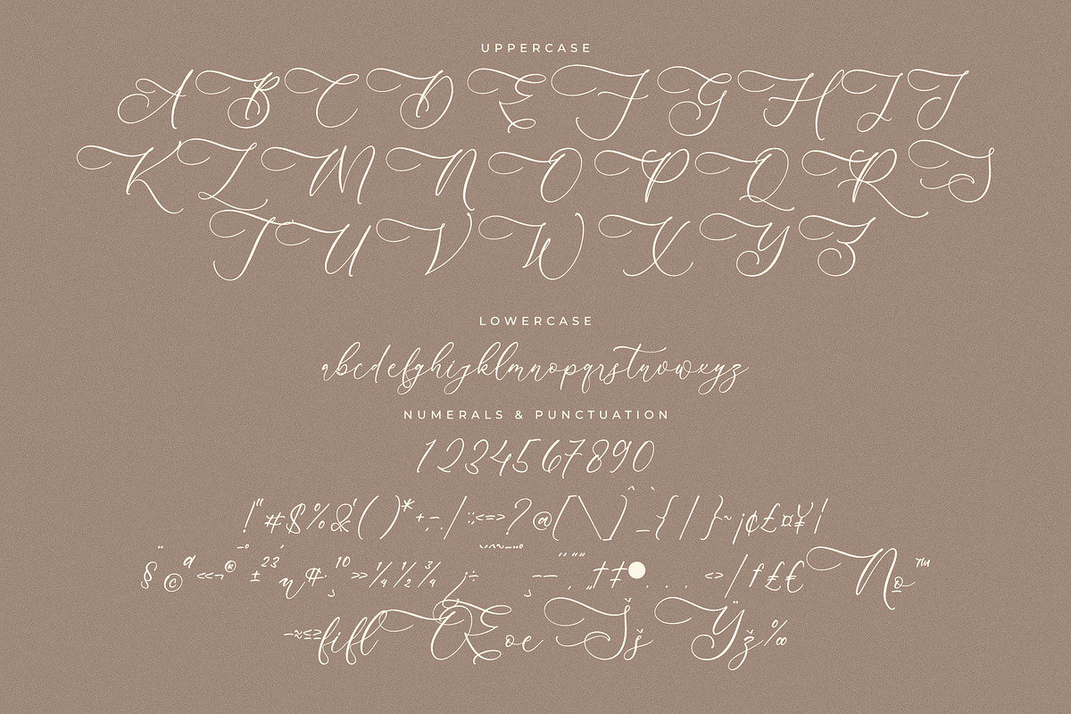 Andorale Heart Handwritten Script, a Script Font by Storytype Studio (Photo 13 of 15)