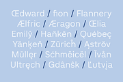 Madion Sans -Modern Formal Sans, a Sans Serif Font by Mokatype Studio (Thumbnail 9 of 14)