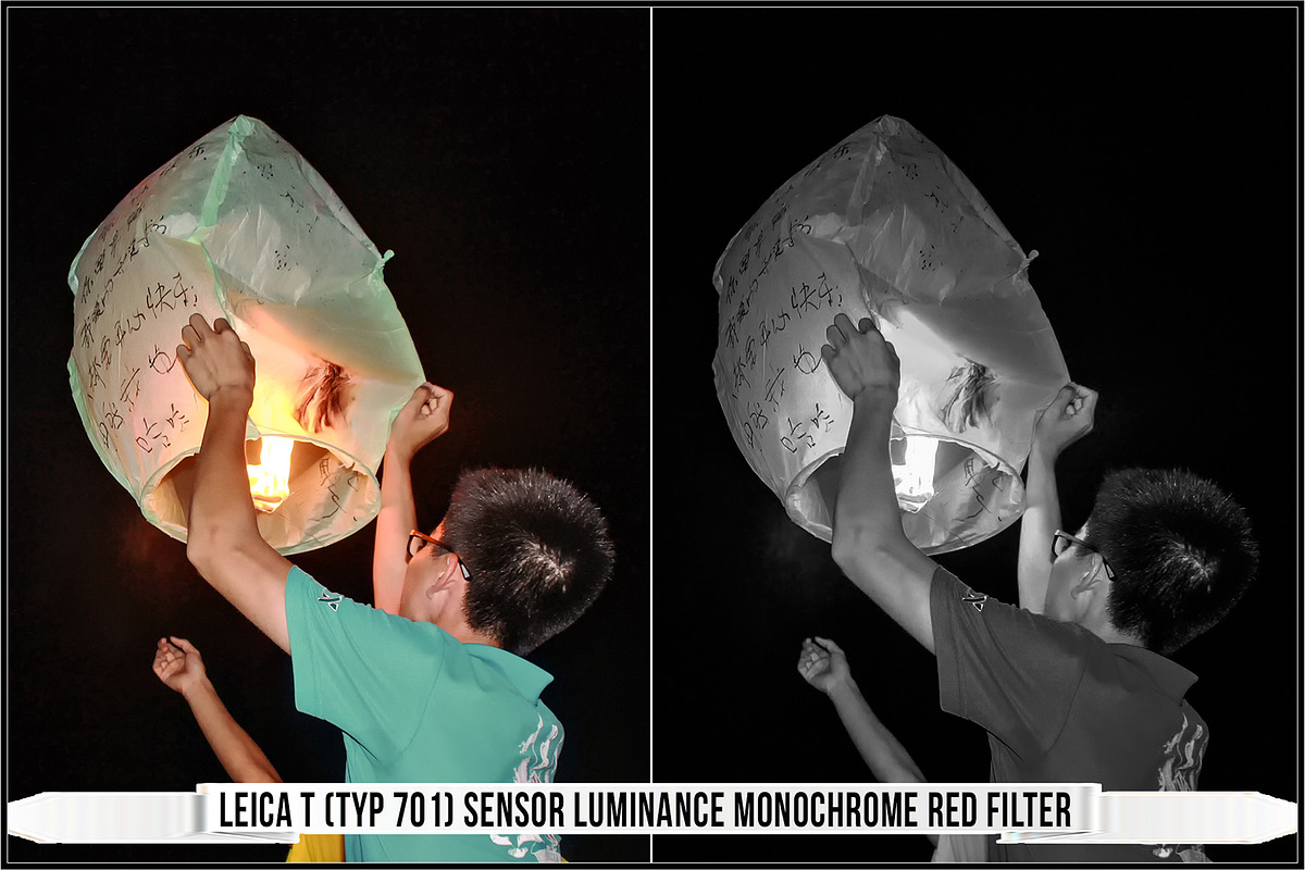 Leica Colors & Sensor Luminance, a Plug-in Add-On by Raztrend (Photo 10 of 29)