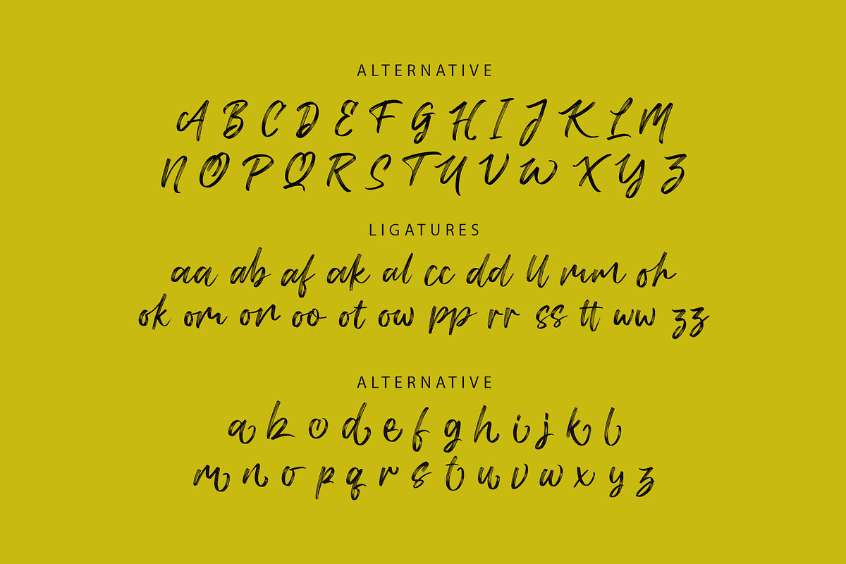 Lonally Qoma, a Script Font by alit design (Photo 4 of 13)